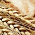 Food combining and hay diet