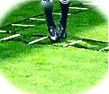 Multiple Ladder Foot Speed Drills